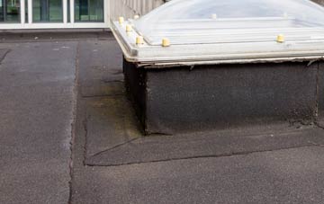 disadvantages of Thelveton flat roofs